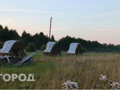 В Коми почти полторы тысячи пенсионеров получают выплаты за работу в сельском хозяйстве