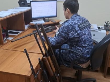 Добровольная сдача оружия