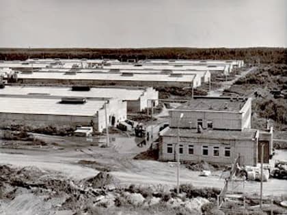 Птицефабрика 