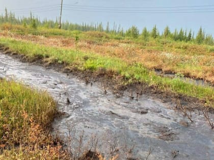 Владимир Уйба прокомментировал нефтеразлив в Усинском районе