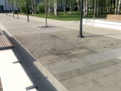 "Народный контроль": сыктывкарцев возмущает разбросанный мусор и вырубка деревьев