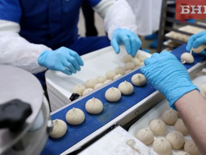 В Коми стали больше добывать глины, но меньше производить продуктов