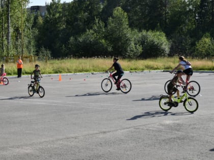 Велодень — 2024: Спортивный Фестиваль для Всех