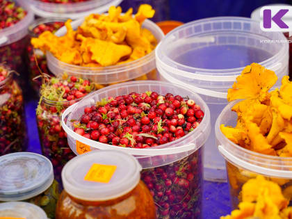 В СФ предлагают возродить систему заготовительных контор для закупки дикоросов&nbsp;