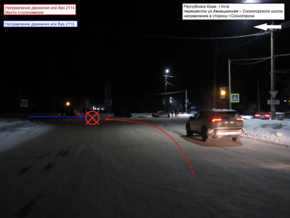 Под Ухтой из-за начинающего водителя пострадали два человека