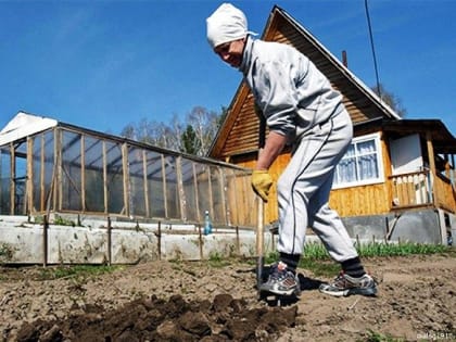 Чтобы дачник спал спокойно