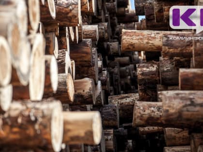 Из Коми отправлено на экспорт 120,766 тысячи кубометров лесопродукции