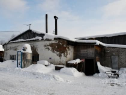 В Усть-Куломском районе обустраивается пункт временного содержания бесхозяйных собак