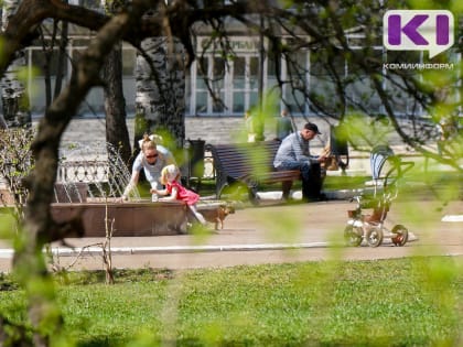 Погода в Коми 23 июня: на севере дождь со снегом, на юге +19...+21 °C