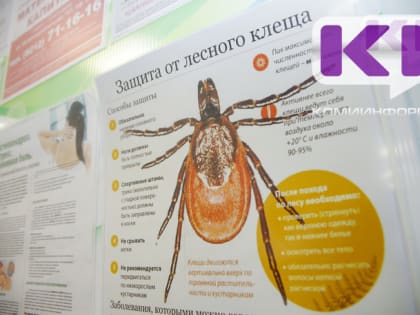Первый укус клеща зарегистрирован в Прилузском районе Коми