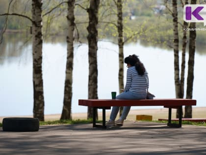 Погода в Коми 16 июня: на севере снег с дождем, на юге +22°С