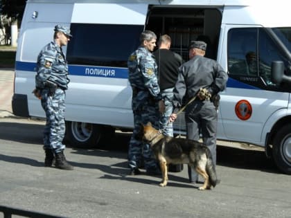 Житель Коми принял свою возлюбленную за большую змею и убил