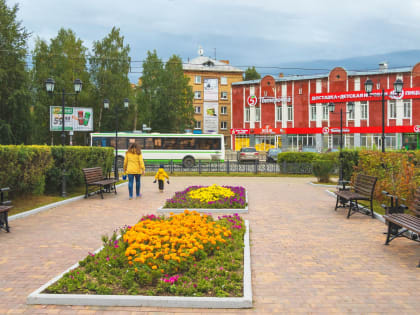 Ухтинский "Горзеленхоз" закупает саженцы на 115 тысяч рублей