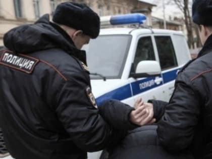 Жителя Коми, состоящего на учете у психиатра, отправили в колонию за многочисленные кражи