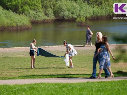 Погода в Коми 29 июня: на юге небольшой дождь и гроза, +16...+21°С
