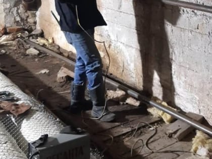 Лучшие по профессии