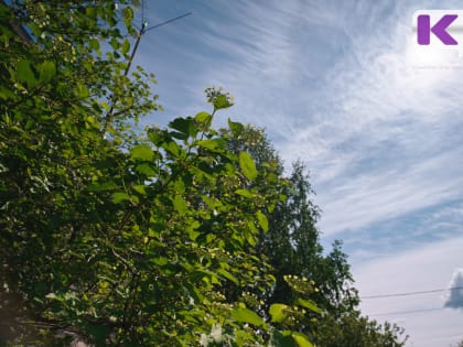 Последний день лета в Коми будет солнечным