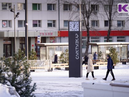 39% жителей Коми считают, что выходных и праздников должно быть больше