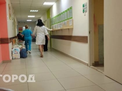 В Коми выявили все типы вируса гриппа