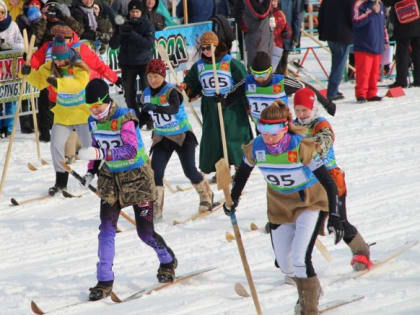 Неделя до «Лямпиады»
