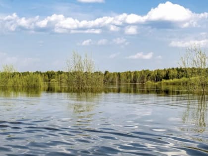 В одной из районных больниц Коми появится аэролодка за 5,5 миллионов рублей