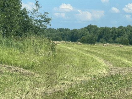 Аграриев Коми могут лишить государственной поддержки