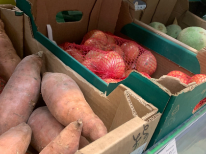 В 2023 году на увеличение производства овощей в Коми потратили больше 31 миллиона