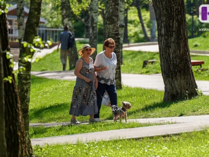 Погода в Коми 7 августа: дождь, в северных районах грозы, +19...+24°С