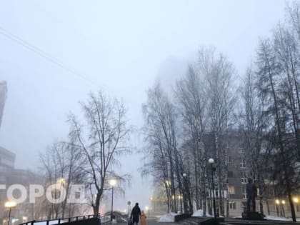В Сыктывкаре в воздухе почти в два раза превышены нормы по формальдегиду