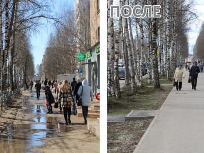 За активность и неравнодушие