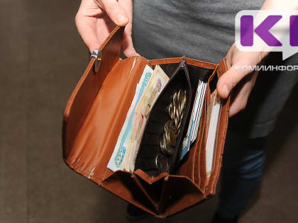 Жители Коми смогут узнать, насколько эффективно умеют управлять семейным бюджетом