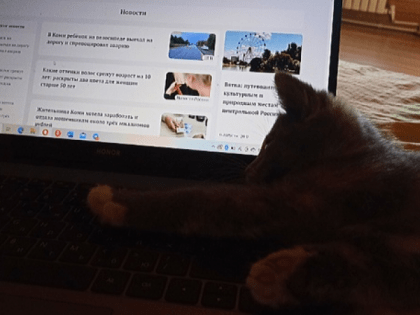 Развитие отечественных интернет-платформ в России