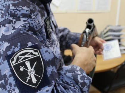 За неделю росгвардейцы Коми выявили 10 нарушений в области оборота оружия