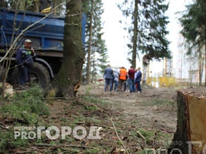 Новый парк в Сыктывкаре: почему его называют "беличий" и что возмутило горожан