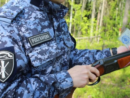 Сыктывкарец нашел два ружья и сдал их в Росгвардию