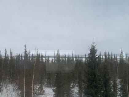 В Коми 11 мая ожидается мокрый снег и ветер