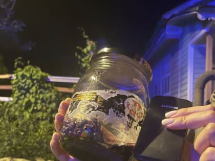 "Из болота торчали руки и банка ягод": сыктывкарка рассказала подробности спасения дедушки