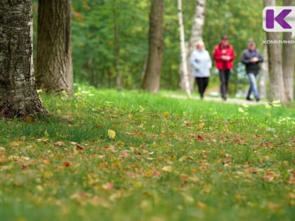 Погода в Коми 13 сентября: без осадков, +17°С