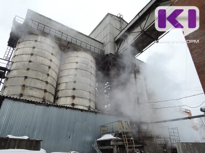 В ноябре сырьевая отрасль Коми показала рост производства на 0,5%