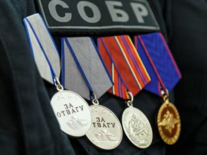 Отмечены за ратный подвиг