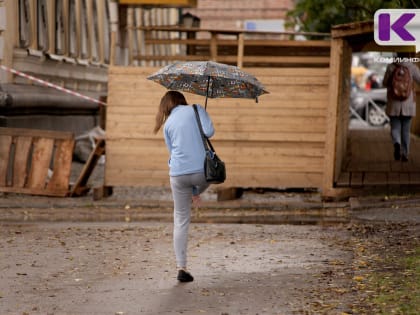Погода в Коми 13 июля: днем +17...+22, в дожде +12...+17°С.