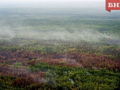 В Удорском районе ввели режим ЧС