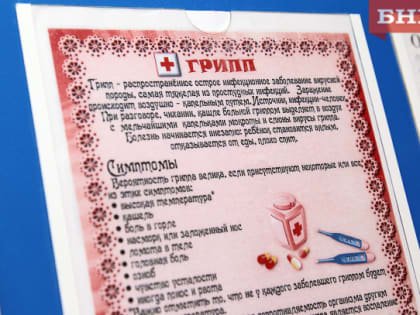В Коми ожидается подъем заболеваемости гриппом — Минздрав