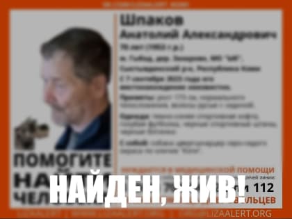 В Сыктывдинском районе нашли пропавшего мужчину с собачкой