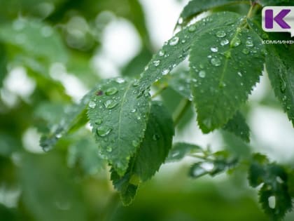 Погода в Коми 17 июня: на севере дожди, похолодает до +10 °C