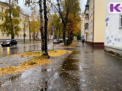 Погода в Коми 5 октября: сильный ветер, местами сильный дождь
