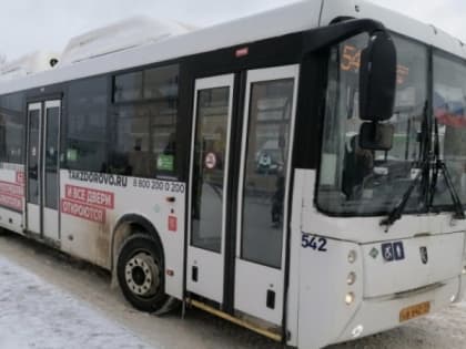 В Сыктывкаре начали разъезжать автобусы с агитирующими надписями