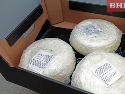 Биотехнологи объяснили, почему дорогой сыр не всегда качественный