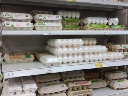 В Коми за неделю подорожали яйца