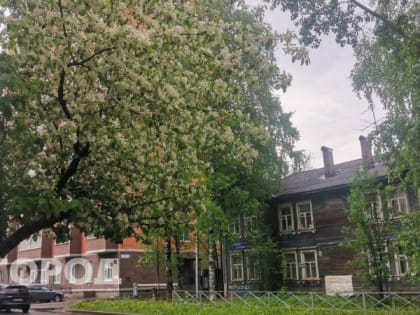 В Коми в июне ожидаются заморозки до -3 градусов